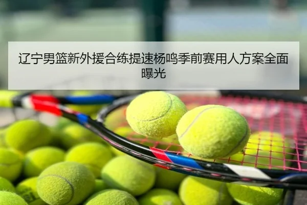 辽宁男篮新外援合练提速杨鸣季前赛用人方案全面曝光